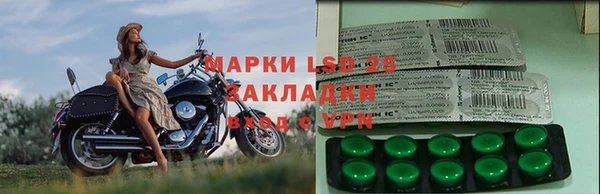 трава Гусев