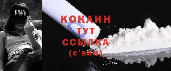 jwh Гусь-Хрустальный