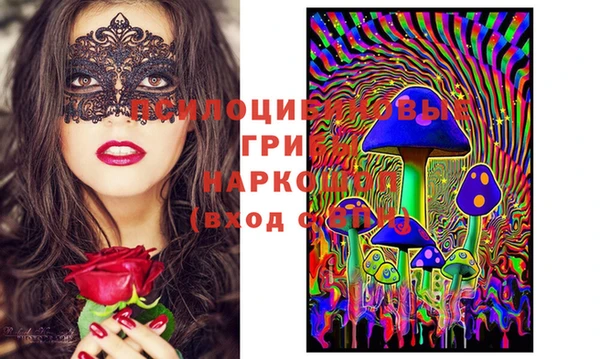трава Гусев