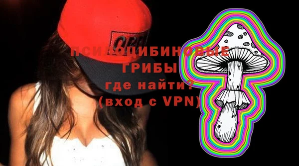 jwh Гусь-Хрустальный