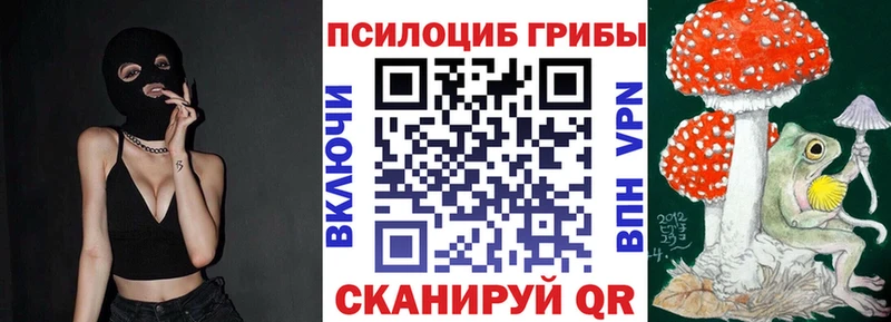Купить закладки  Кашин  Псилоцибиновые грибы Magic Shrooms 